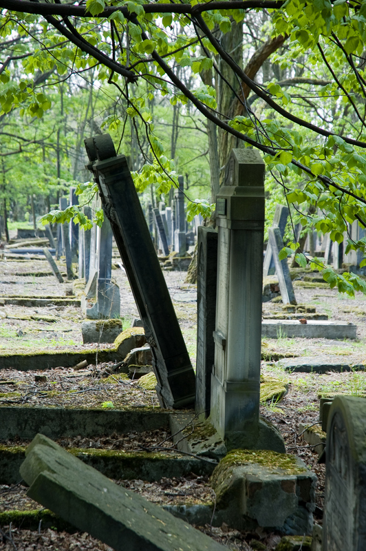 Cmentarz Żydowski 18