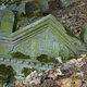 Cmentarz Żydowski 19