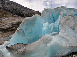 Jęzor lodowca Jostedalsbreen