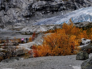 Jęzor lodowca Jostedalsbreen