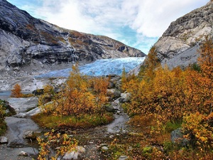 Jęzor lodowca Jostedalsbreen