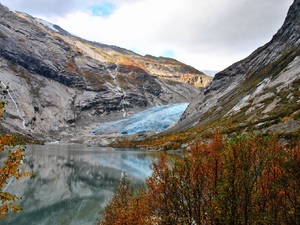 Jęzor lodowca Jostedalsbreen