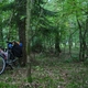 Nocleg w sosnowym lesie.