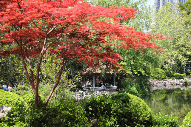 Park na Placu Ludowym