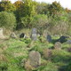 Krynki - cmentarz żydowski