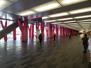 W centrum olimpijskim