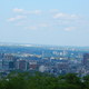 Widok na Montreal z Mount Royal