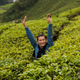 40--Pola herbaciane w Malezji--img 4918