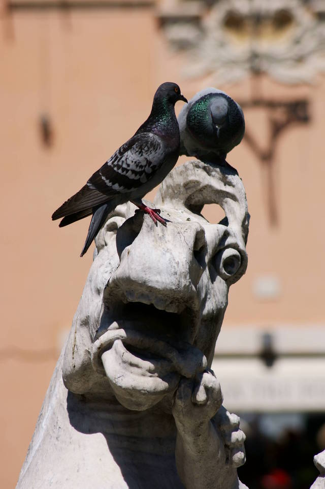 Fontana del Nettuno na Piazza Navona