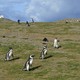 Parque Nacional Los Pinguinos