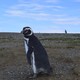 Parque Nacional Los Pinguinos