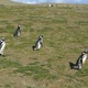 Parque Nacional Los Pinguinos