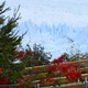 Parque Nacional Los Glaciares