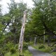 Parque Nacional Torres del Paine