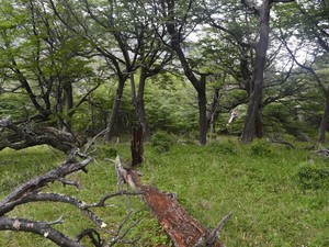 Parque Nacional Torres del Paine