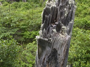 Parque Nacional Torres del Paine