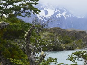 Parque Nacional Torres del Paine