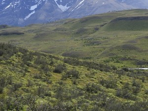 Parque Nacional Torres del Paine