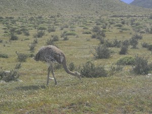 Parque Nacional Torres del Paine