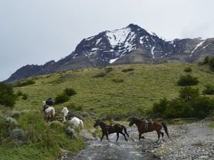 Parque Nacional Torres del Paine