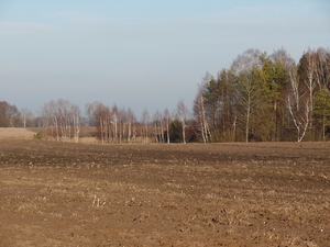 Zima 2014/2015 na Augustowszczyznie