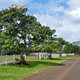 Kauai, wsi spokojna wsi wesoła