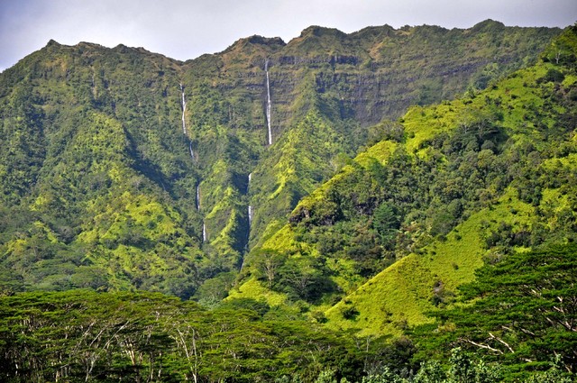 Kauai, okolica Kapaa 