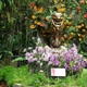Ogród orchidei