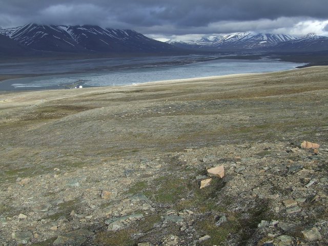 Svalbard 08