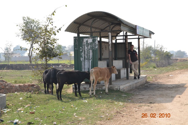 Dsc 0365
