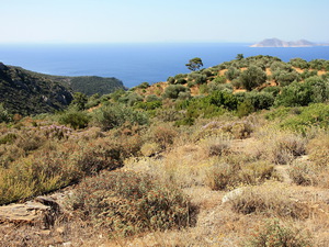 Trasa zachodnia do Agios Isidoros 