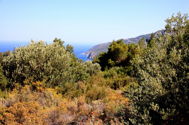 Trasa zachodnia do Agios Isidoros