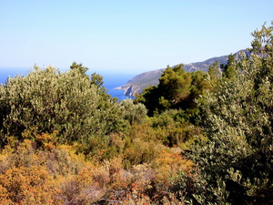 Trasa zachodnia do Agios Isidoros