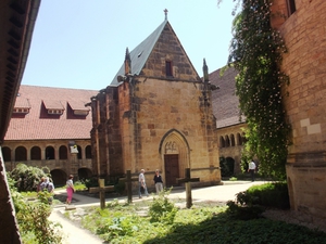 Katedra NMP