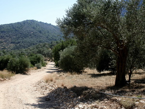W drodze do jaskini Pitagorasa