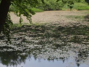 Jeziorka Duszatyńskie