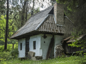 stare domki  w Rusinowej Polanie