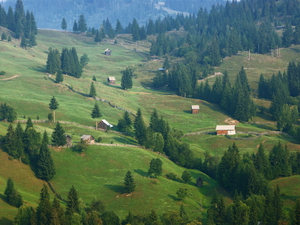 Dulce Bukovina 