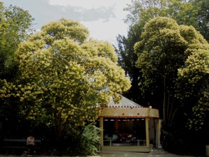 Paryż - Parc des Buttes Chaumont
