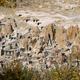 Kandovan