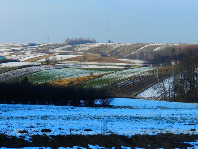 Pola roztoczańskie