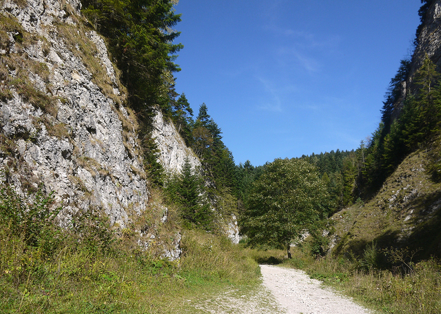 Pieniny.Wąwóz Szopczański pod Trzema Koronami.