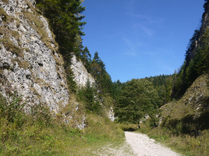 Pieniny.Wąwóz Szopczański pod Trzema Koronami.