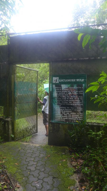 Bohol  - rezerwat  tersierów 