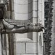 Gargulec, katedra w Brukseli 