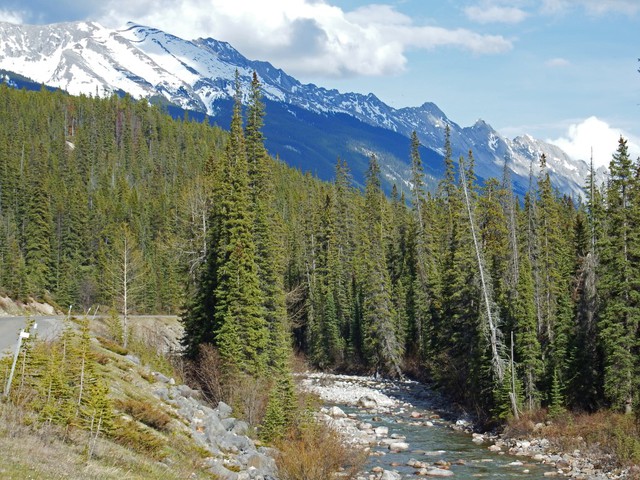 Park Narodowy Jasper