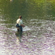 Rybak łowiący w Dunajcu.