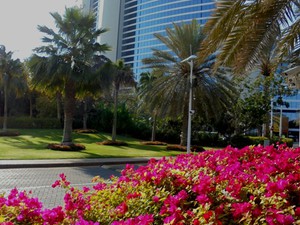 Dubaj - Jumeirah Beach Hotel