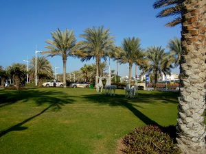 Dubaj - Jumeirah Beach Hotel