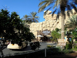 Dubaj - Wild Wadi Waterpark